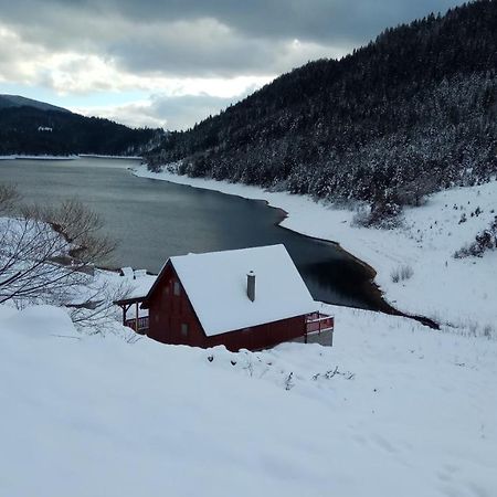 Rajski Pogled Villa Zaovine Exteriör bild