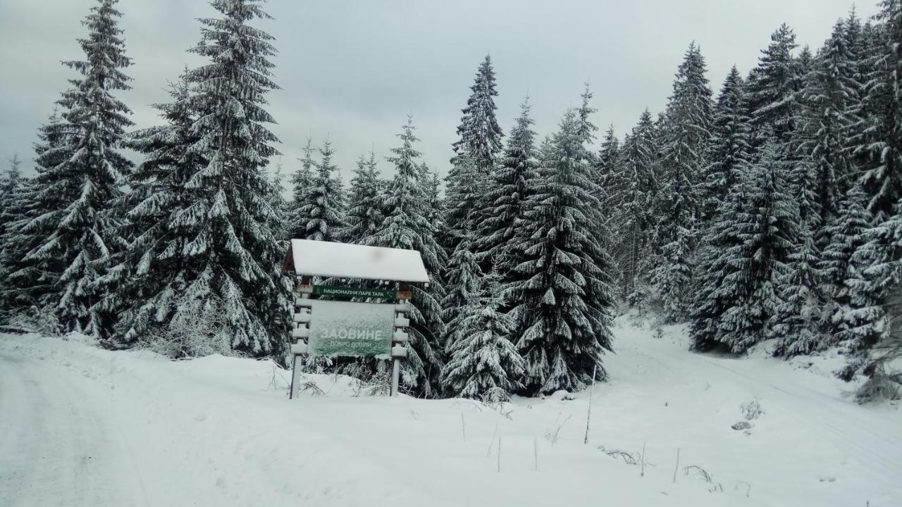 Rajski Pogled Villa Zaovine Exteriör bild