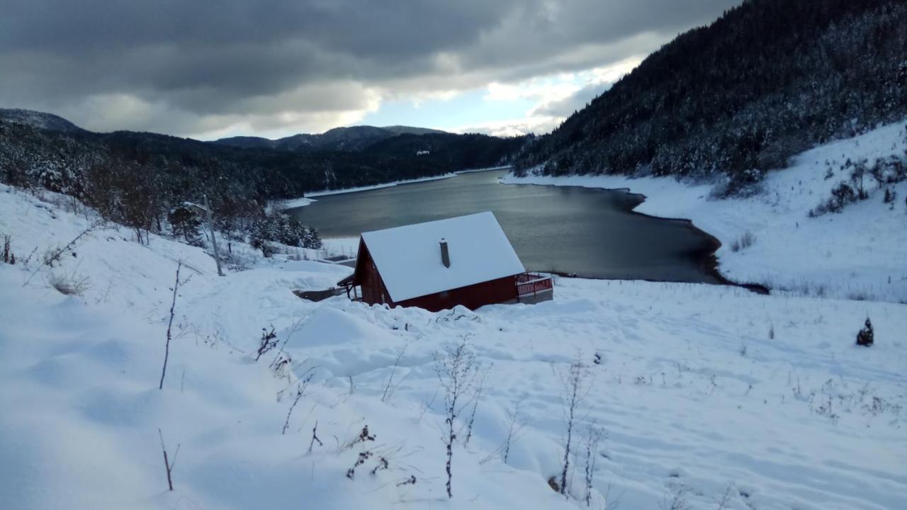 Rajski Pogled Villa Zaovine Exteriör bild